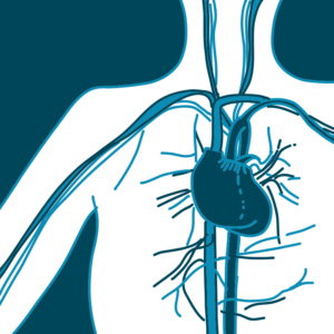 Cardiologia - Casa di Cura Piacenza