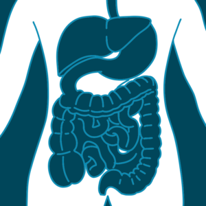 Gastroenterologia - Casa di Cura Piacenza